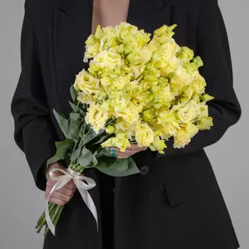 15 Кремовых Лизиантусов