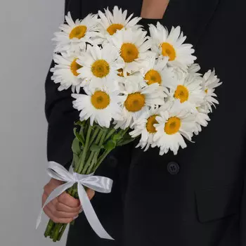 15 Крупных Ромашек