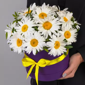 15 Крупных Ромашек в коробке