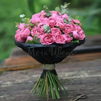 15 Кустовых Пионовидных Малиновых Роз (50 см.) с эвкалиптом