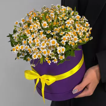 15 Кустовых Ромашек в коробке