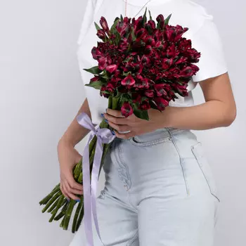 15 Малиновых Альстромерий