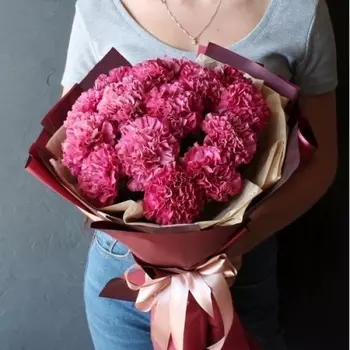 15 Малиновых Гвоздик