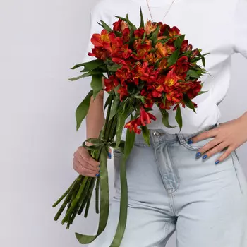 15 Оранжевых Альстромерий