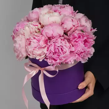 15 Пионов Сара Бернар в коробке