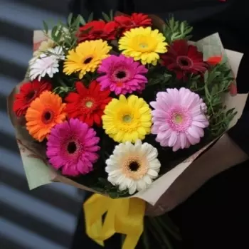 15 Разноцветных Гермини