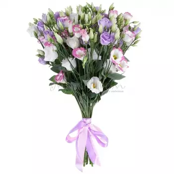 15 Разноцветных Эустом