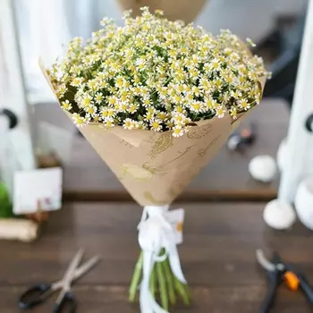 15 Кустовых Ромашек в упаковке