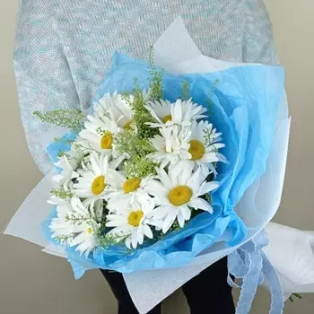 15 Крупных Ромашек с зеленью