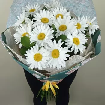 15 Крупных Ромашек в крафте