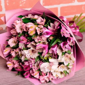 15 Розово-Белых Альстромерий