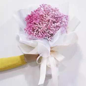 15 Розовых Гипсофил