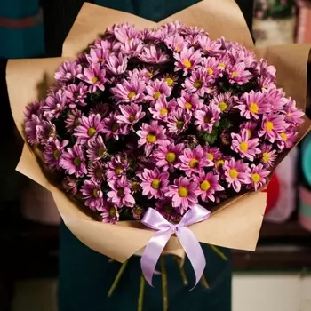 15 Розовых Хризантем