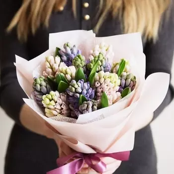 15 Розовых и Фиолетовых Гиацинтов