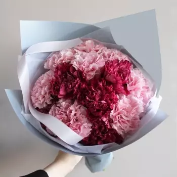 15 Розовых и Малиновых Гвоздик