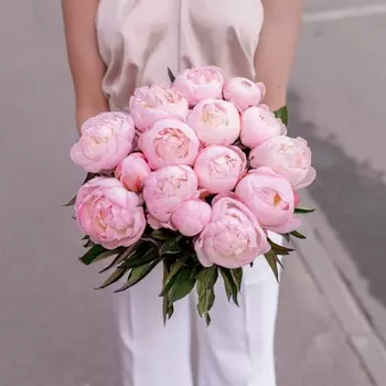 15 Розовых Пионов