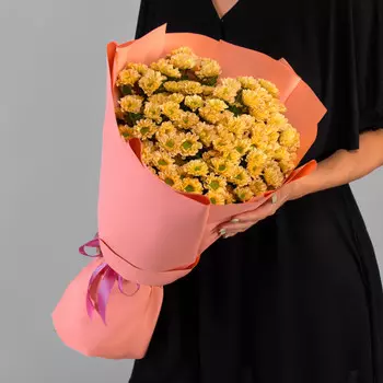 15 Коричневых Сантини