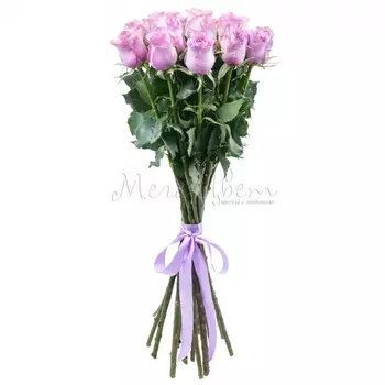 15 Сиреневых Роз (70 см.)