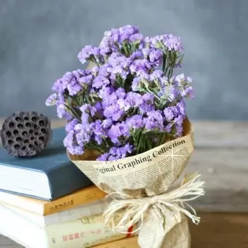 15 Сиреневых Статиц