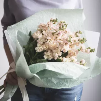 15 Светло-Коричневых Маттиол