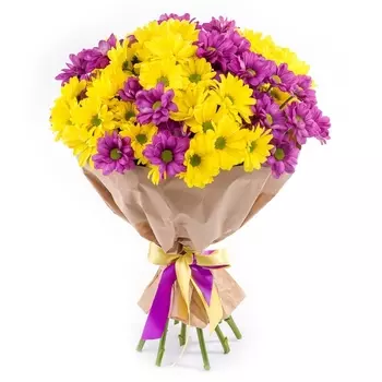 15 Ярких Хризантем