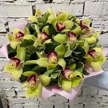 15 Зеленых Орхидей