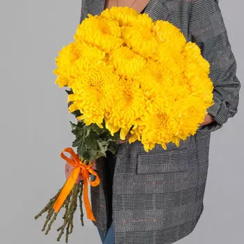 15 Желтых Хризантем Бигуди