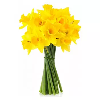 15 Желтых Нарциссов