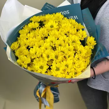 15 Жёлтых Кустовых Хризантем