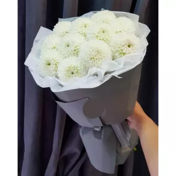 17 Белых Георгин