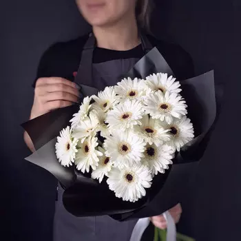 17 Белых Гербер