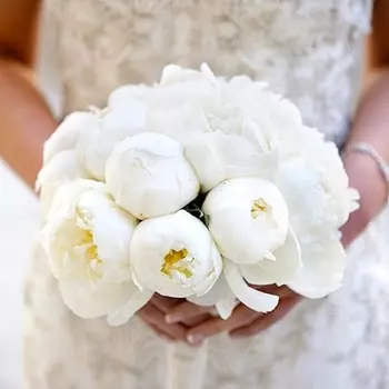 17 Белых Пионов в букете невесты