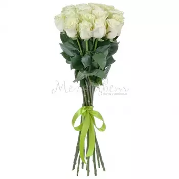 17 Белых Роз (70 см.)