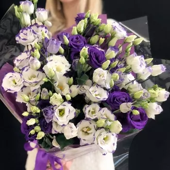 17 Фиолетово-Белых Эустом