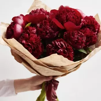 17 Красных Пионов в крафте