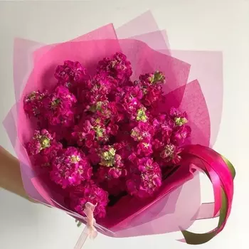 17 Малиновых Маттиол