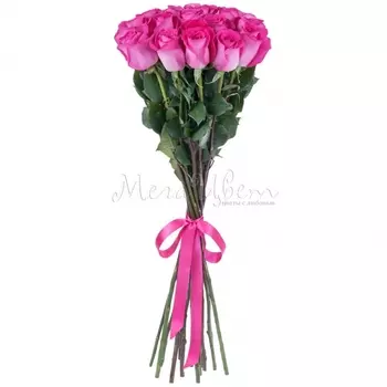17 Малиновых Роз (70 см.)