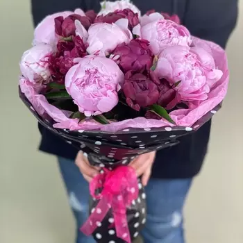 17 Нежных Пионов