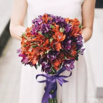 17 Оранжево-Фиолетовых Альстромерий