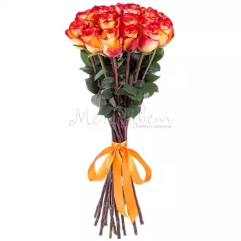17 Оранжевых Роз (70 см.)