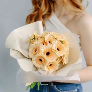 17 Персиковых Гербер