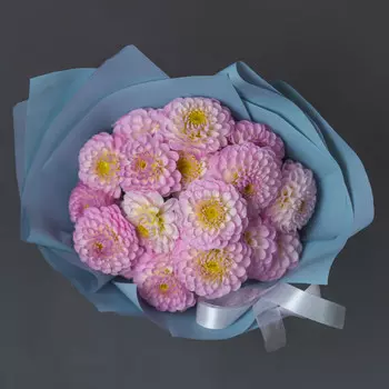 17 Розовых Георгин