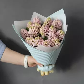 17 Розовых Гиацинтов
