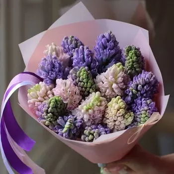 17 Розовых и Фиолетовых Гиацинтов