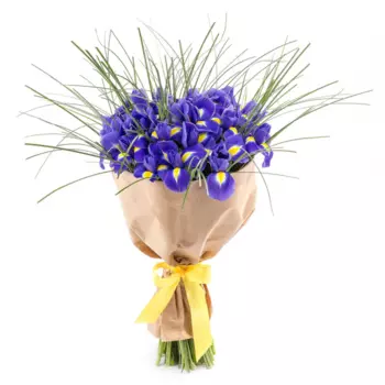 17 Синих Ирисов