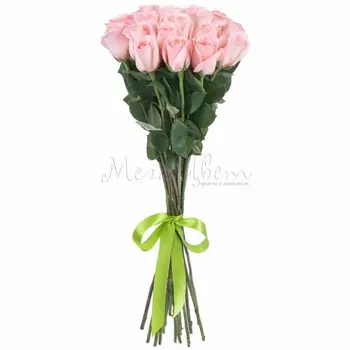 17 Светло-Розовых Роз (70 см.)