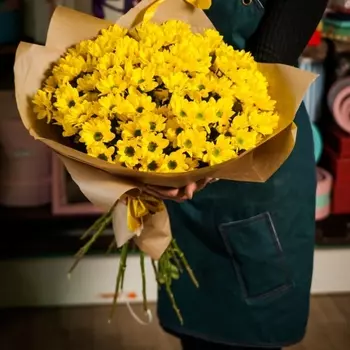 17 Желтых Хризантем