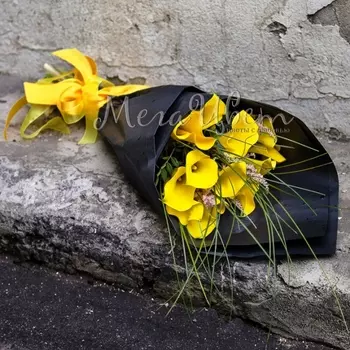 17 Желтых Калл