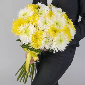 19 Бело-Желтых Игольчатых Хризантем