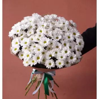 19 Белых Хризантем